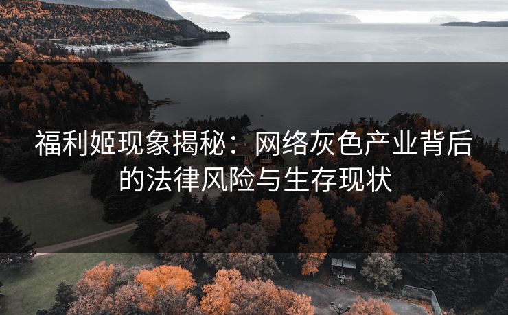 福利姬现象揭秘：网络灰色产业背后的法律风险与生存现状