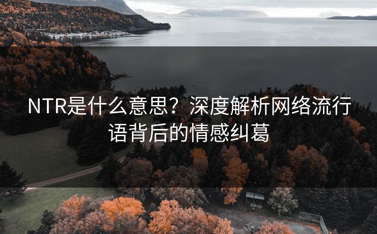 NTR是什么意思？深度解析网络流行语背后的情感纠葛
